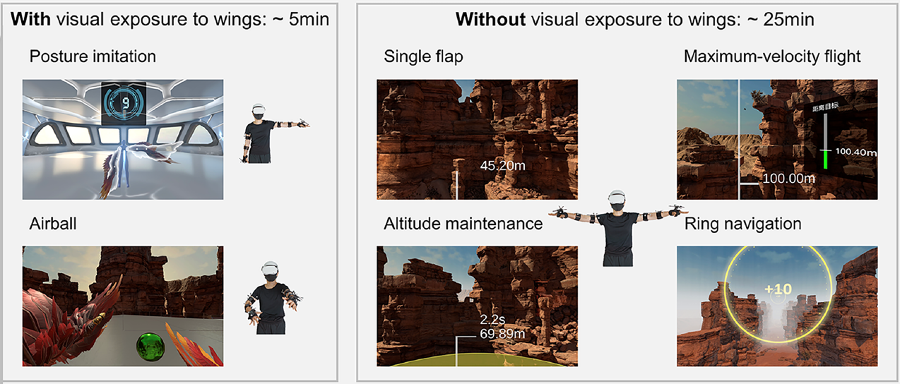 VR training tasks with a headset-wearing participant, visible-wing practice, and virtual flight scenes.